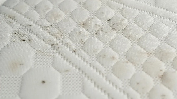 loại bỏ vết nấm mốc trên nệm